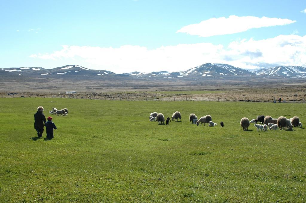 Willa Ytra Lon Farm Retreat Þórshöfn Zewnętrze zdjęcie