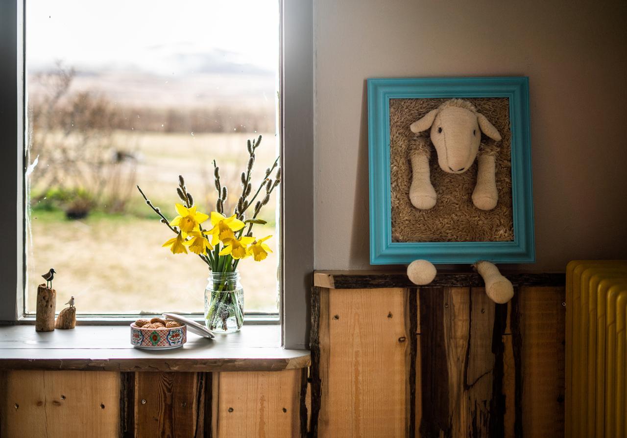 Willa Ytra Lon Farm Retreat Þórshöfn Zewnętrze zdjęcie