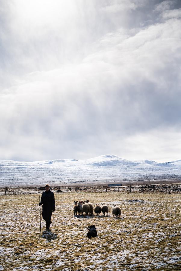 Willa Ytra Lon Farm Retreat Þórshöfn Zewnętrze zdjęcie